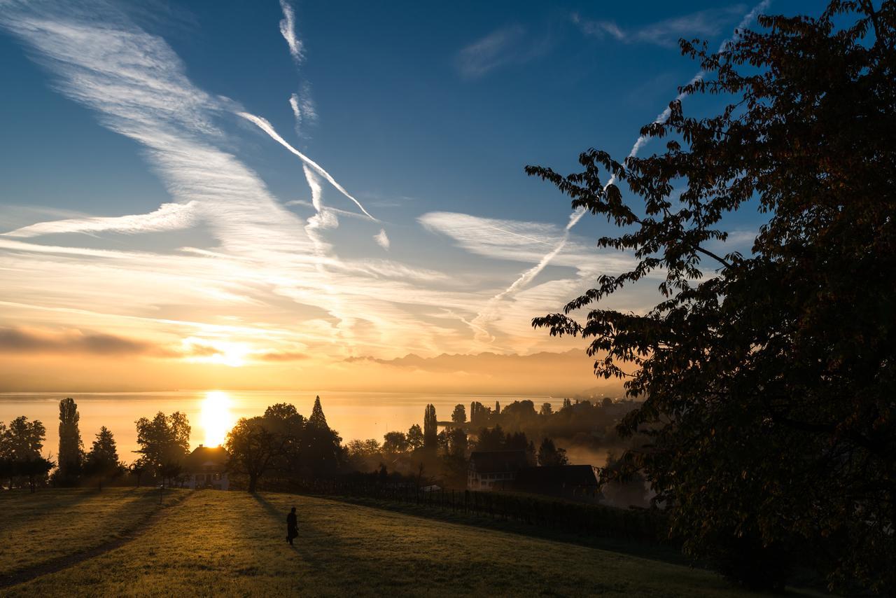 Landgasthof Halbinsel Au Inn Wädenswil