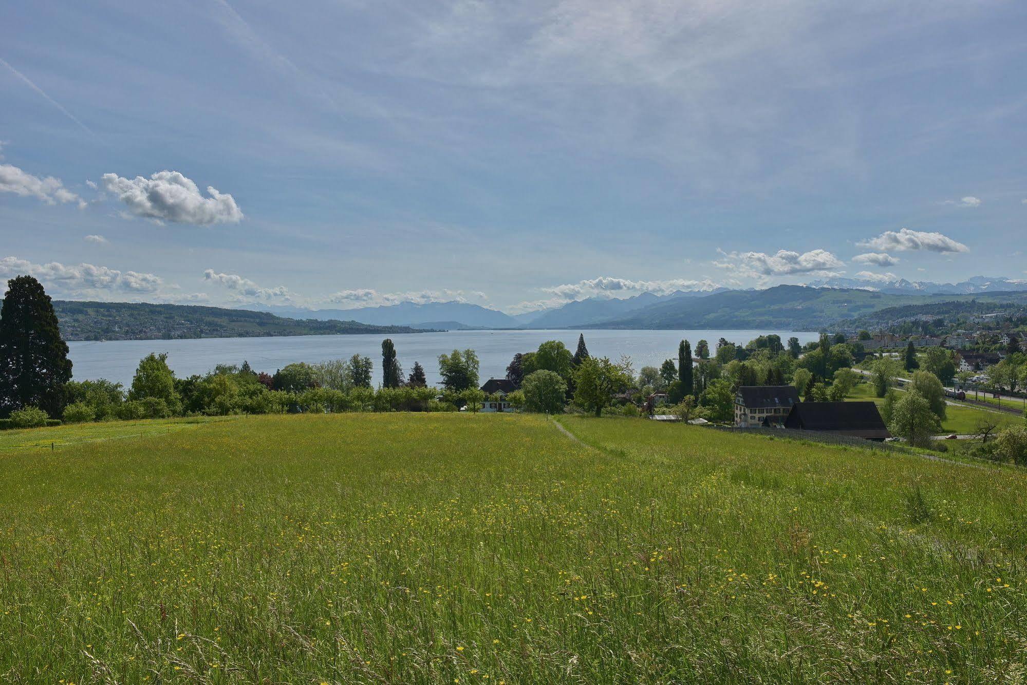 Landgasthof Halbinsel Au Inn 3*